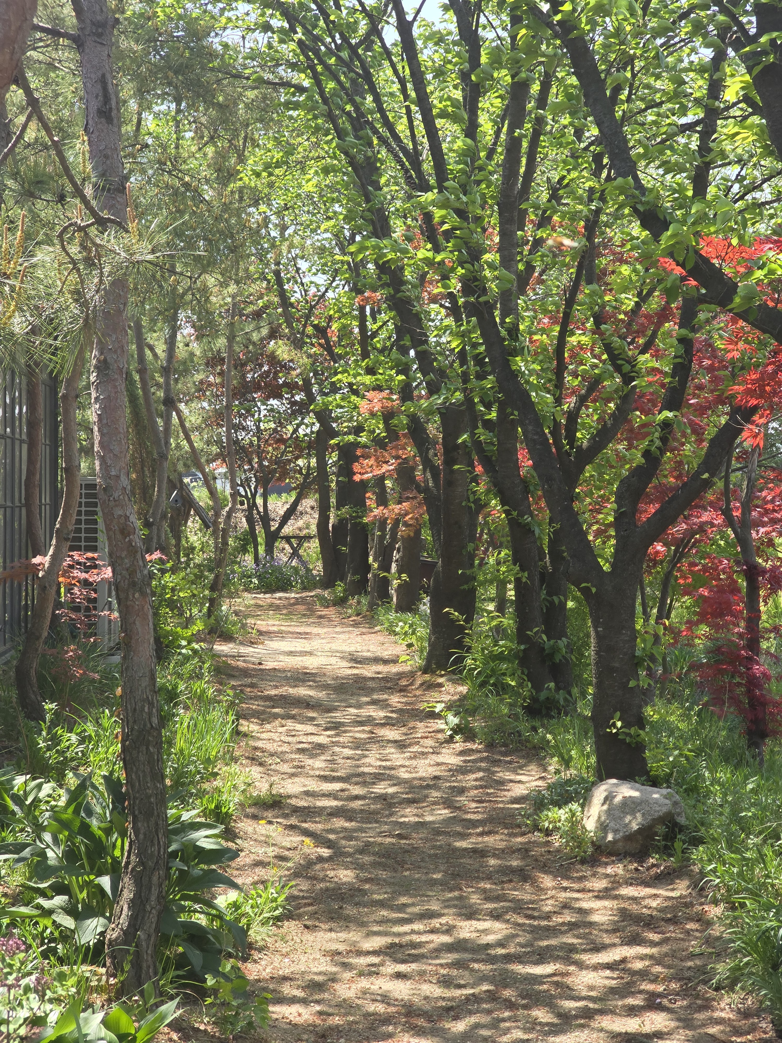 산책로